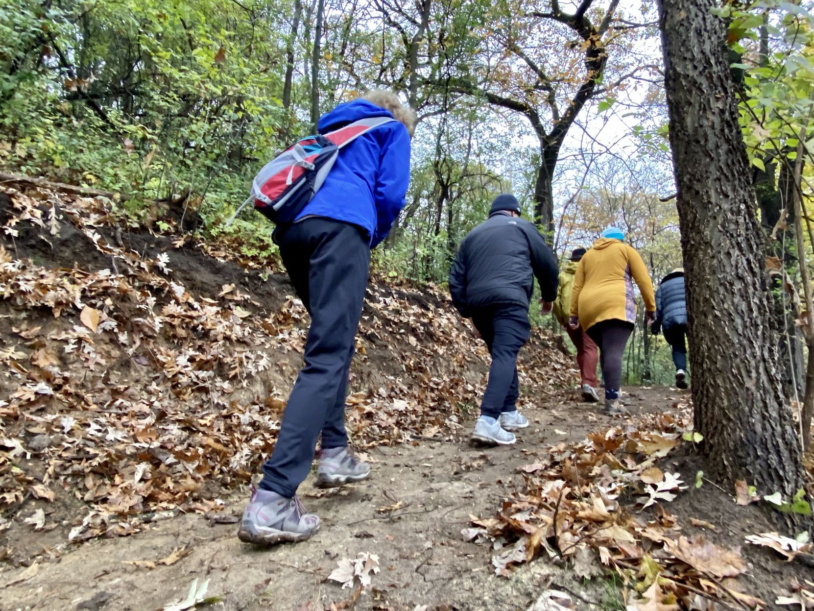 Hikers try out new Miller Bluff Trail